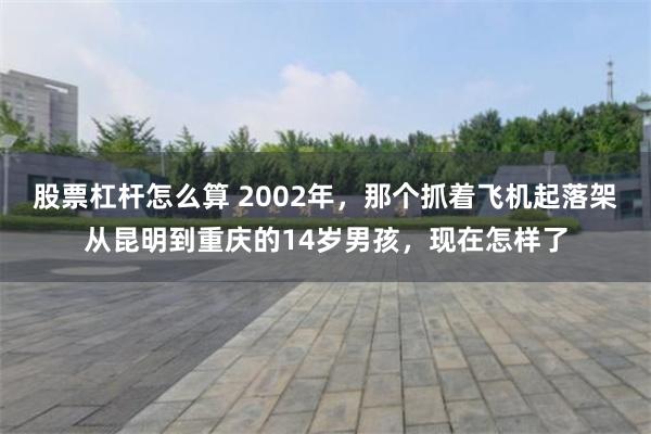 股票杠杆怎么算 2002年，那个抓着飞机起落架从昆明到重庆的14岁男孩，现在怎样了