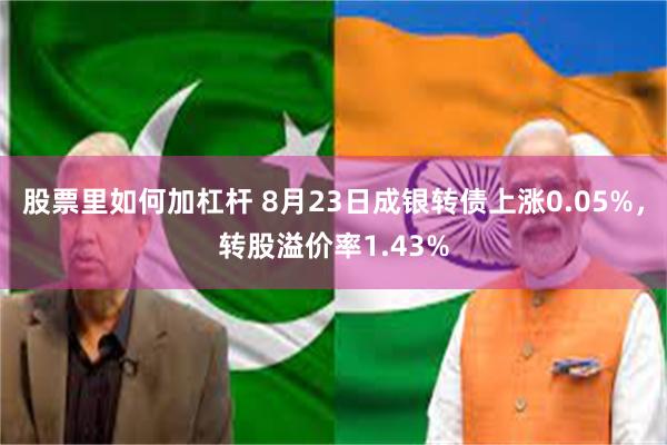 股票里如何加杠杆 8月23日成银转债上涨0.05%，转股溢价率1.43%