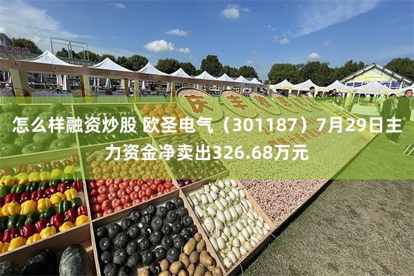 怎么样融资炒股 欧圣电气（301187）7月29日主力资金净卖出326.68万元