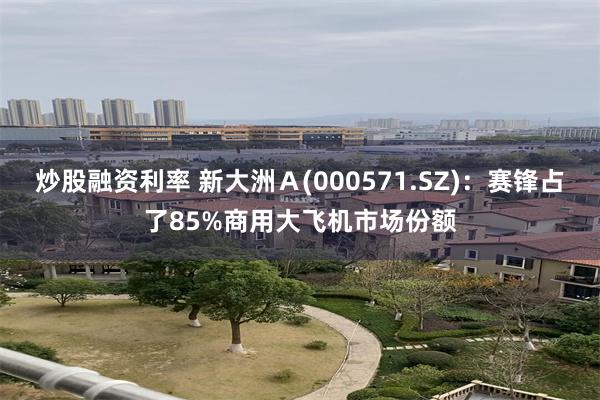 炒股融资利率 新大洲Ａ(000571.SZ)：赛锋占了85%商用大飞机市场份额