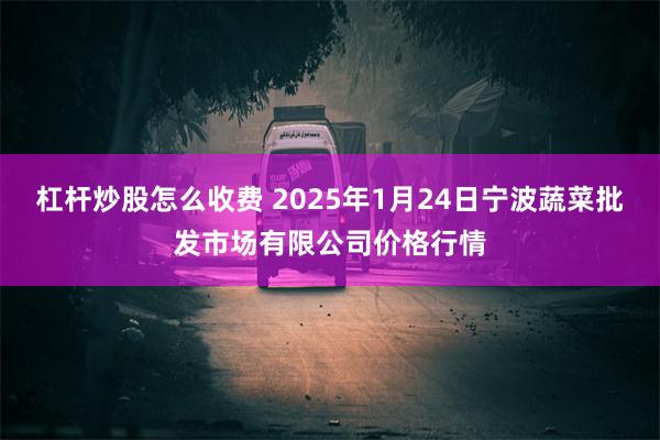 杠杆炒股怎么收费 2025年1月24日宁波蔬菜批发市场有限公司价格行情