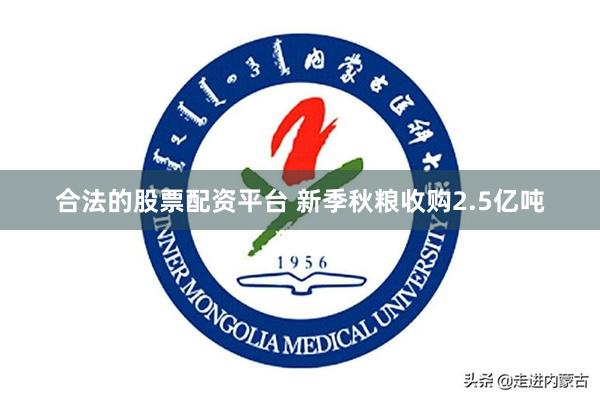 合法的股票配资平台 新季秋粮收购2.5亿吨