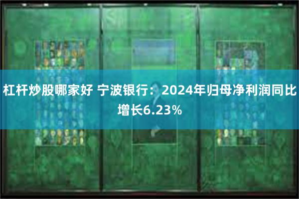 杠杆炒股哪家好 宁波银行：2024年归母净利润同比增长6.23%