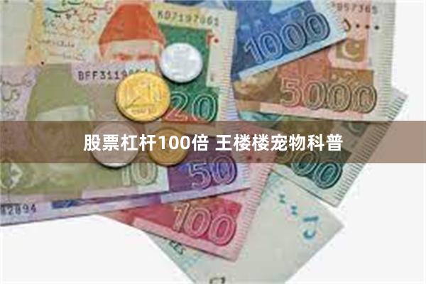 股票杠杆100倍 王楼楼宠物科普